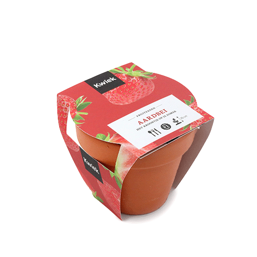 Terracotta potje Aarbei