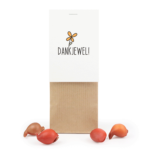 Dankjewel - Bloembollen in kraft stazakje, afbeelding 1 van 7